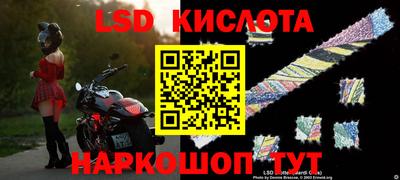 шишки Славянск-на-Кубани